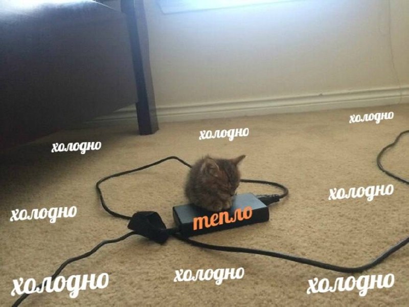 Котёнок на зарядке тепло Котёнок сидит на зарядном устройстве, вокруг надписи «холодно», а на зарядке — «тепло».