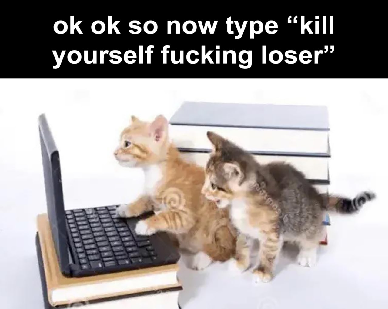 Котёнок печатает на ноутбуке мем "kill yourself fucking loser" Котёнок печатает на ноутбуке фразу "kill yourself fucking loser" под "диктовку" другого котёнка.