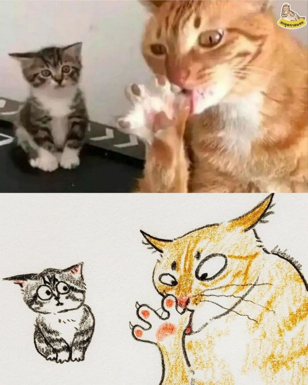 Котёнок смотрит на кота, вылизывающего лапу Котёнок смотрит на кота, который вылизывает свою лапу, и нарисованная версия этого момента