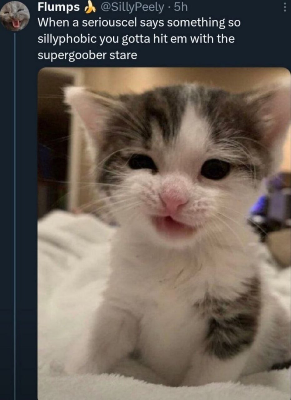 Котенок с supergoober stare Милый котенок с закрытыми глазами и приоткрытым ртом