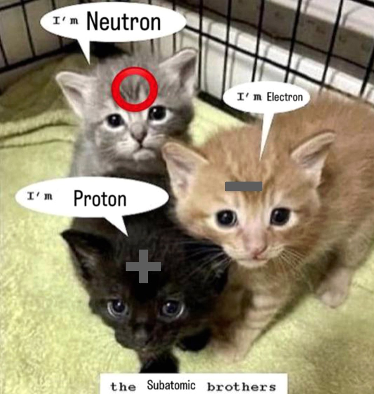 Котята "I'm Neutron, I'm Proton, I'm Electron" Три милых котенка, изображающих субатомные частицы: нейтрон, протон и электрон, с соответствующими знаками заряда.