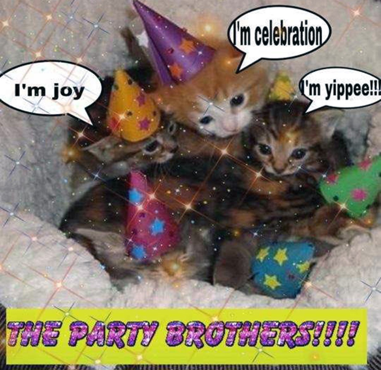 Котики в колпаках I'm joy I'm celebration Милые котята в праздничных колпаках и надписями «I'm joy», «I'm celebration», «I'm yippee!!!» и «THE PARTY BROTHERS!!!!»