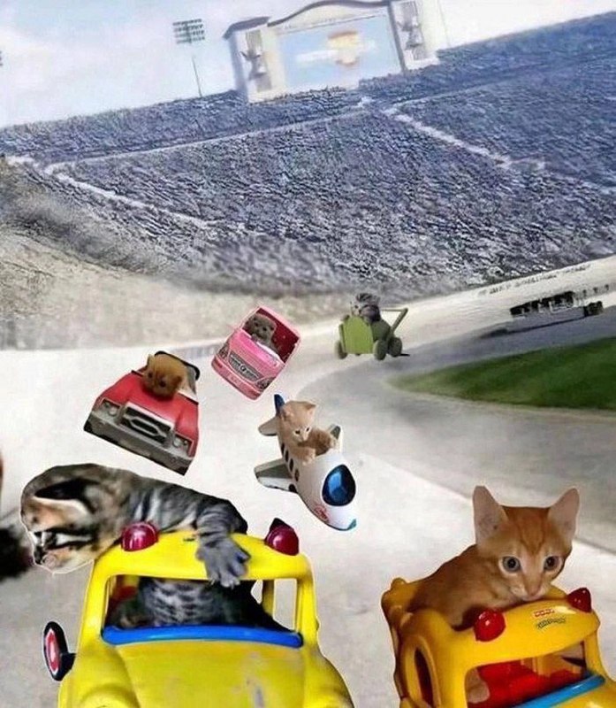 Котята гоняются в игрушечных машинках Котята едут в игрушечных машинках по гоночной трассе на фоне стадиона с трибунами, полными зрителей