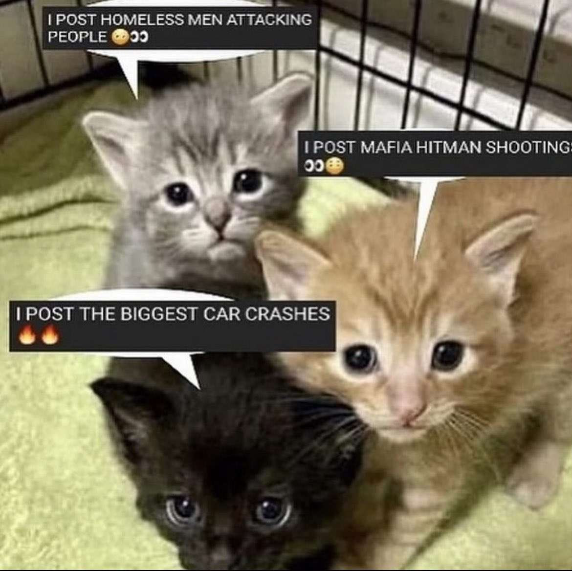 Котята с хобби Мем с тремя милыми котятами, которые делятся своими хобби: один постит нападения бездомных, другой — перестрелки мафии, а третий — самые крупные автокатастрофы.