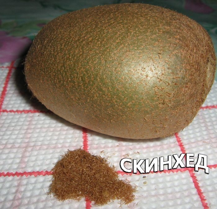 Киви скинхед Мем с киви и кучкой "волос" рядом, подписанный "Скинхед".