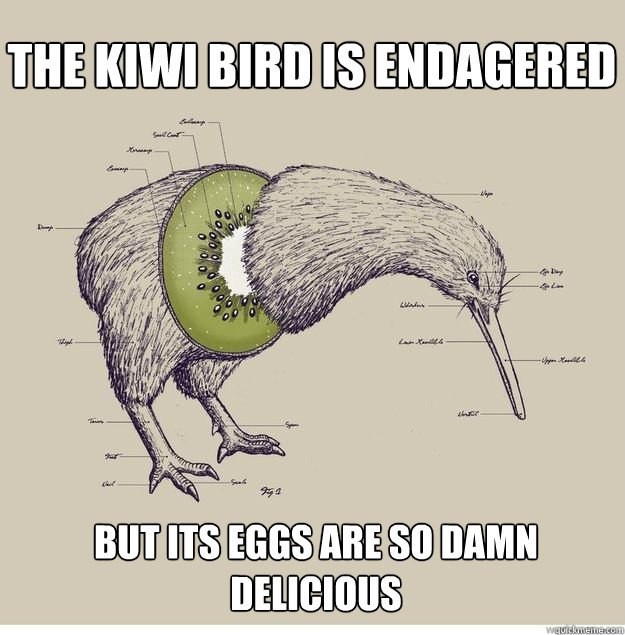 The kiwi bird is endangered Птица киви с фруктом киви вместо тела