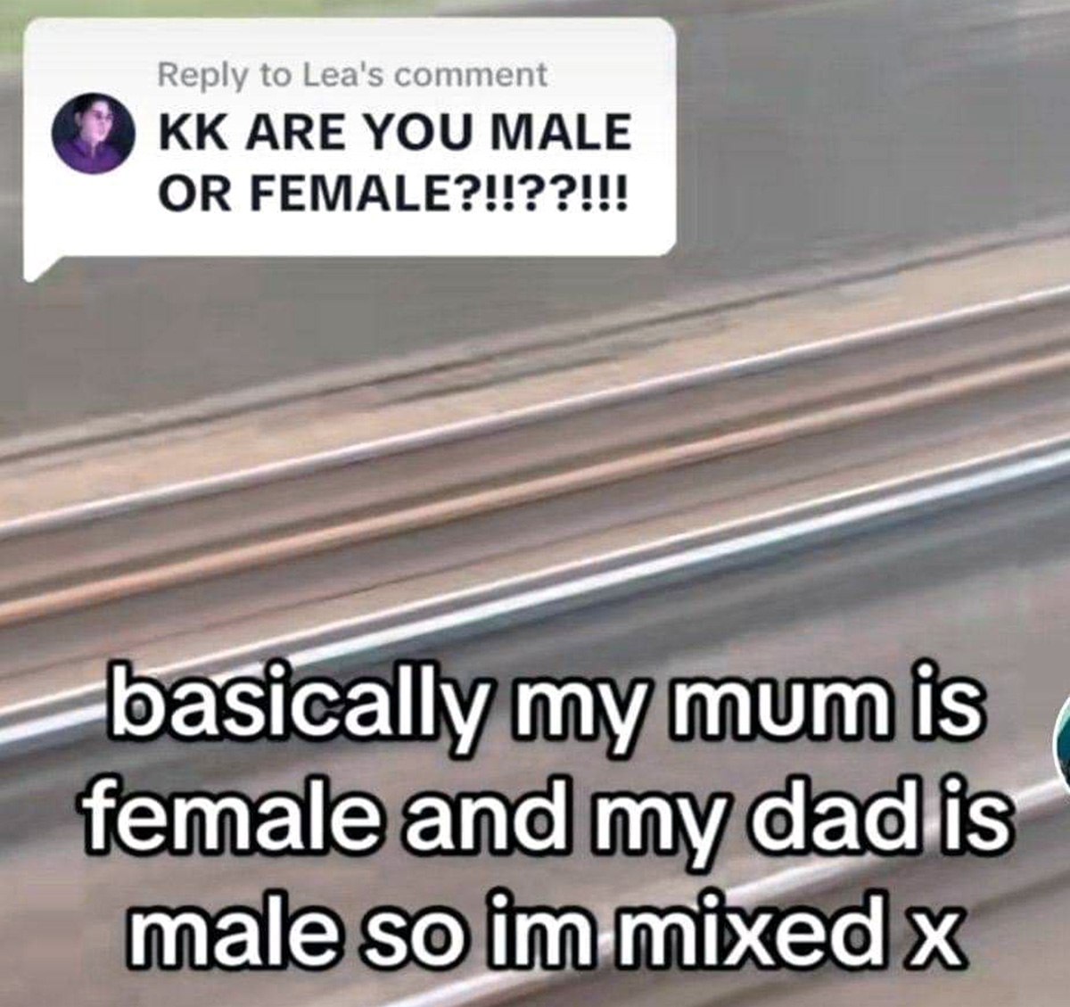 KK ARE YOU MALE OR FEMALE Мем с вопросом "KK ARE YOU MALE OR FEMALE" и ответом "basically my mum is female and my dad is male so im mixed x"
