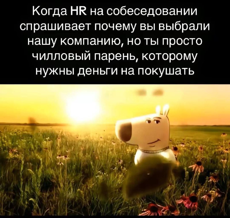 Когда HR на собеседовании спрашивает почему вы выбрали нашу компанию На картинке изображен персонаж мультфильма «Свин Свин и Кабан Кабан» по имени Свин Свин, который сидит в поле на фоне заката. Мем выражает отношение к вопросу HR-менеджера о выборе компании.