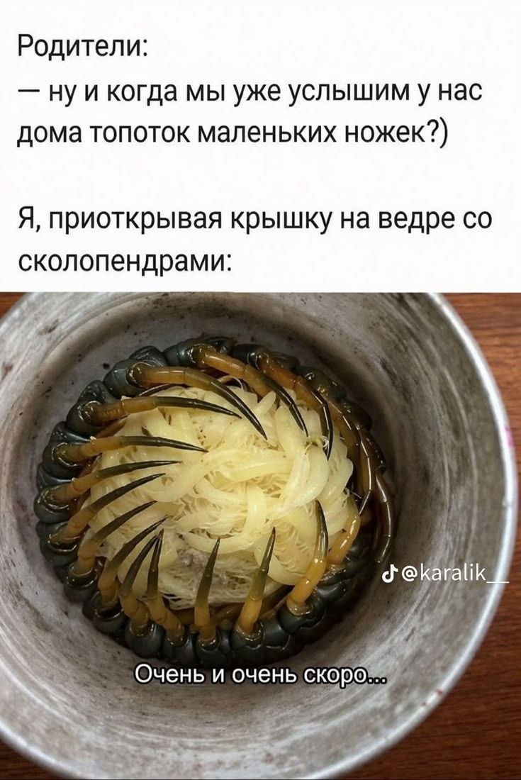 Родители ждут топот маленьких ножек, а в ответ им показывают ведро со сколопендрами и обещают: «Очень и очень скоро...»