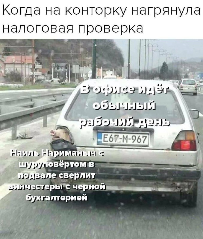 Когда в компанию приходит налоговая проверка, а в офисе делают вид, что идёт обычный рабочий день.