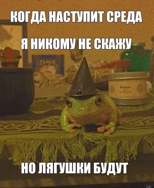Зелёная лягушка в шляпе волшебника и подпись про то, что когда наступит среда, лягушки всё поймут