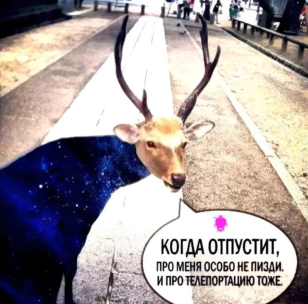 Когда отпустит, про меня особо не пизди. И про телепортацию тоже Олень с синим боком и рогами стоит на дороге и говорит: "Когда отпустит, про меня особо не пизди. И про телепортацию тоже."