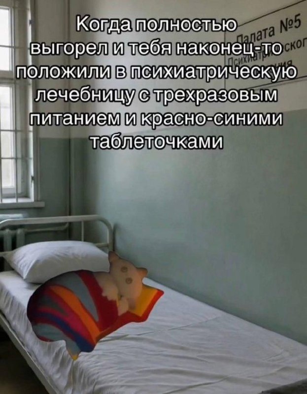 Когда полностью выгорел и тебя наконец-то положили в психиатрическую лечебницу с трехразовым питанием и красно-синими таблеточками.