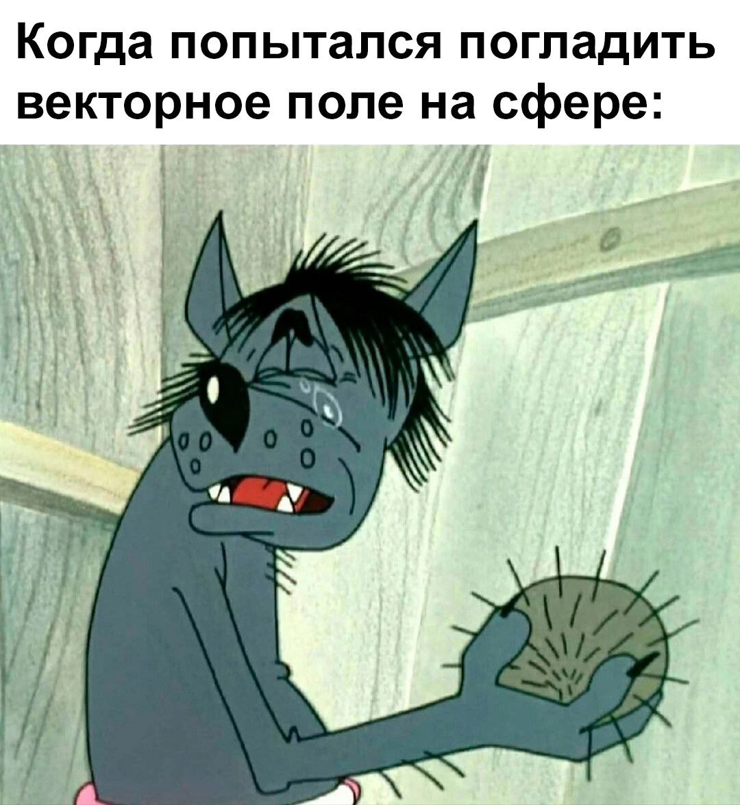 Мультяшный кот со слезами держит колючий шар под надписью про попытку погладить векторное поле на сфере