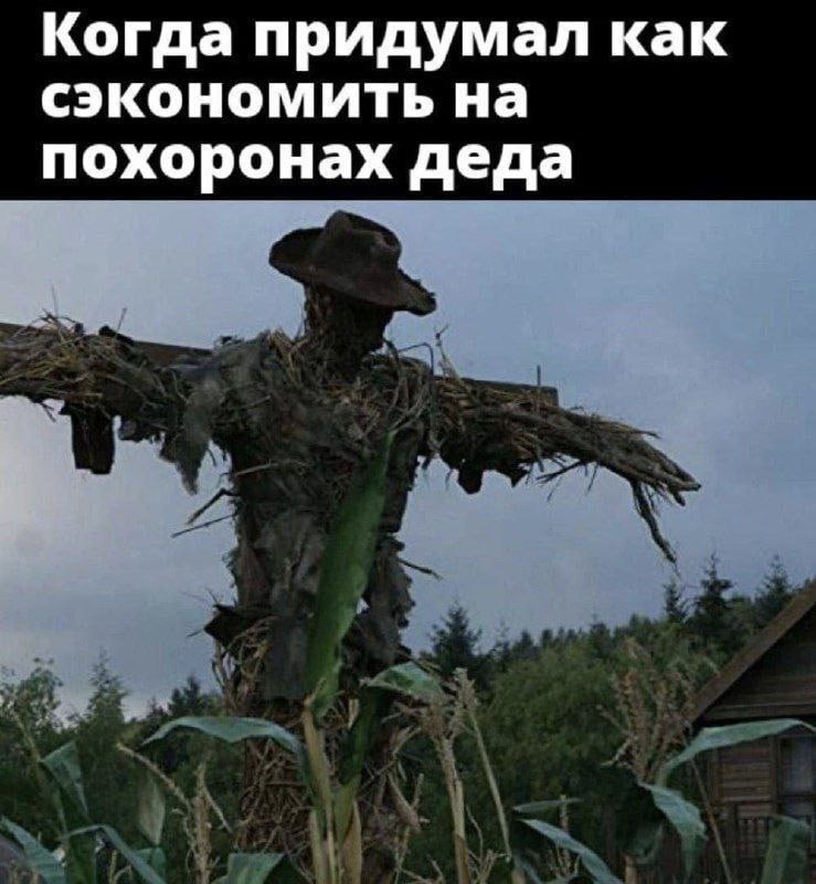 Когда придумал как сэкономить на похоронах деда Когда придумал как сэкономить на похоронах деда. Изображение, на котором пугало из соломы одето в шляпу, стоит посреди поля с кукурузой, а на заднем плане видны деревья и дом.
