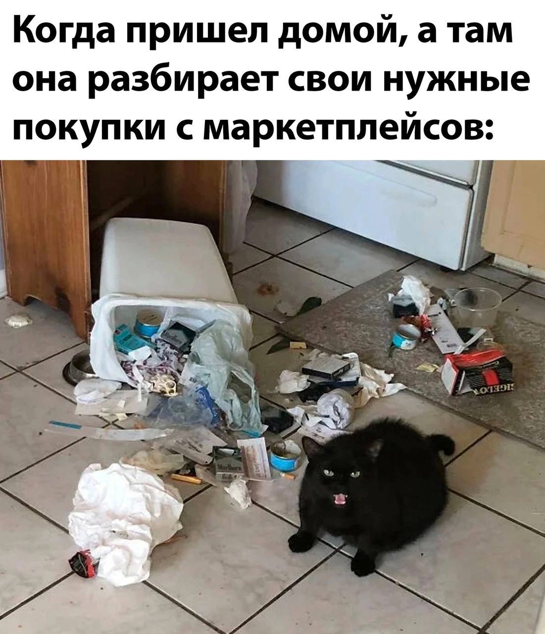 Когда пришел домой, а она разбирает покупки Мусор из покупок с маркетплейсов и недовольная черная кошка