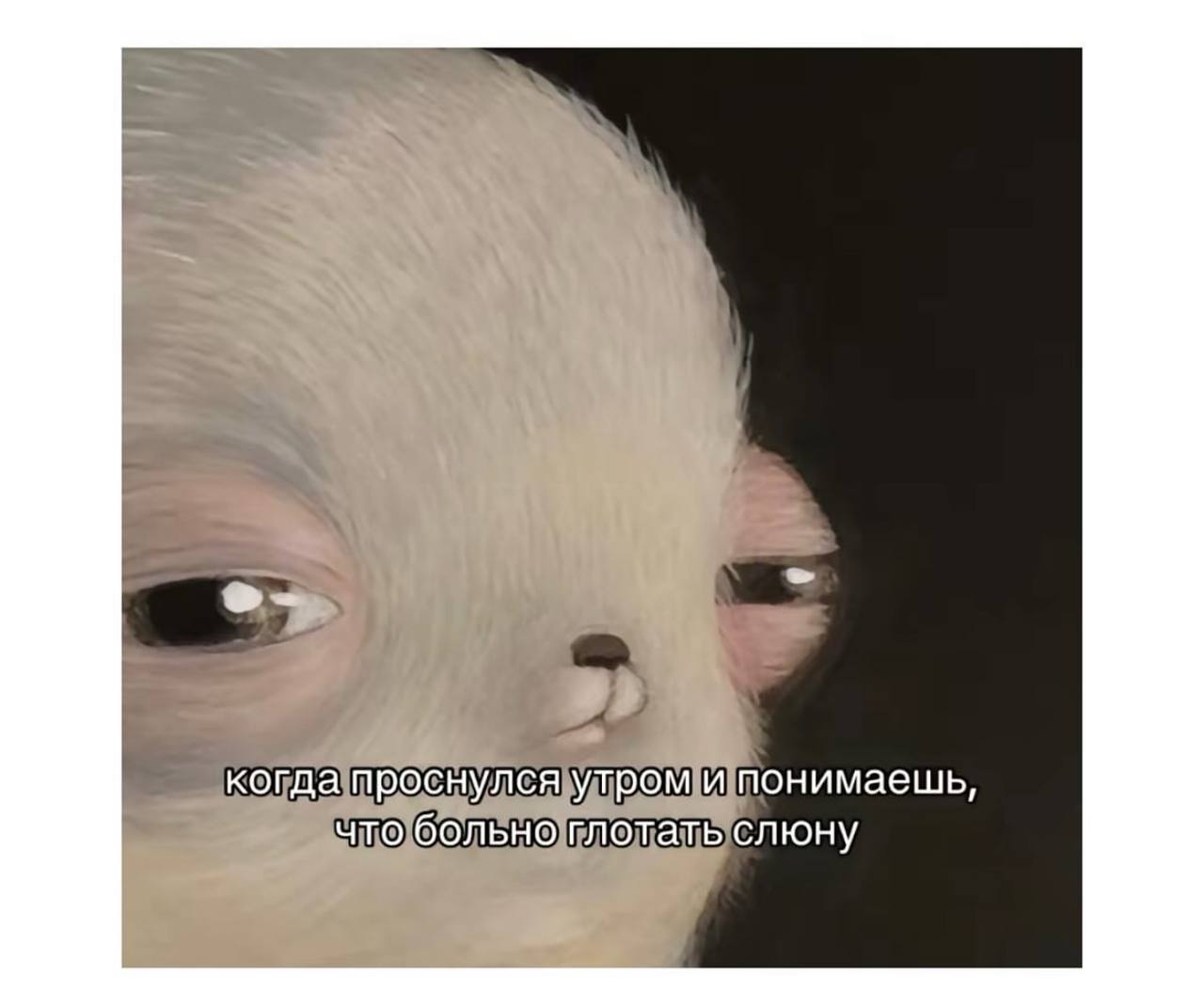 Когда проснулся утром и понимаешь, что больно глотать слюну Мем, где белое пушистое существо просыпается утром и понимает, что ему больно глотать слюну