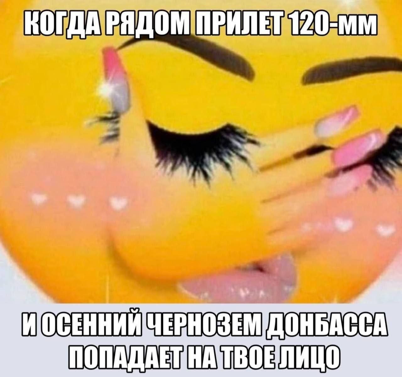 Мем о том, как после близкого прилета 120-мм снаряда осенний чернозем Донбасса попадает прямо на лицо.