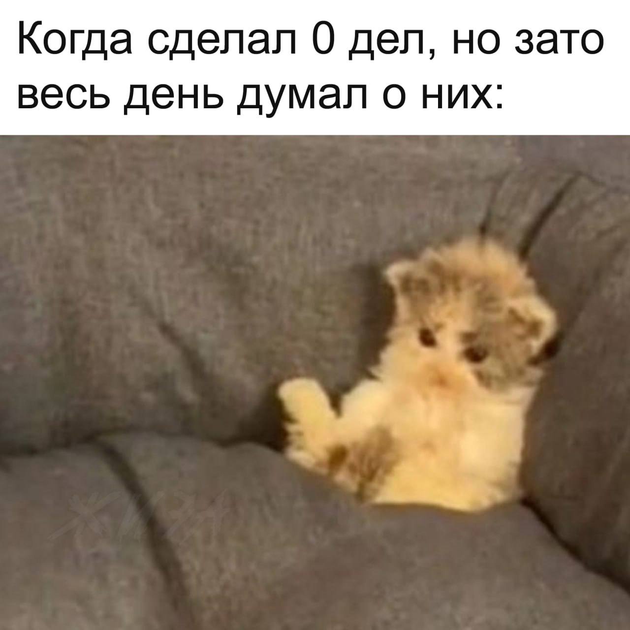 Когда сделал 0 дел Когда сделал 0 дел, но зато весь день думал о них.