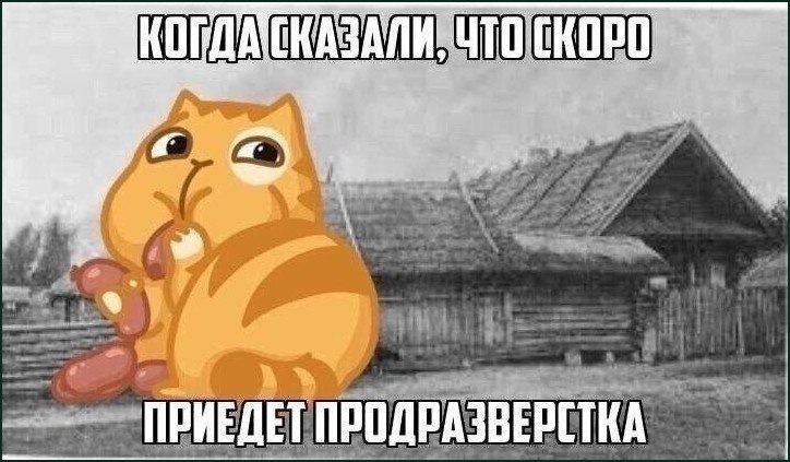 Когда сказали, что скоро приедет продразверстка Мем с рыжим котом, который держит в лапах связку сосисок, на фоне фотографии старой деревни. Надпись: «Когда сказали, что скоро приедет продразверстка».