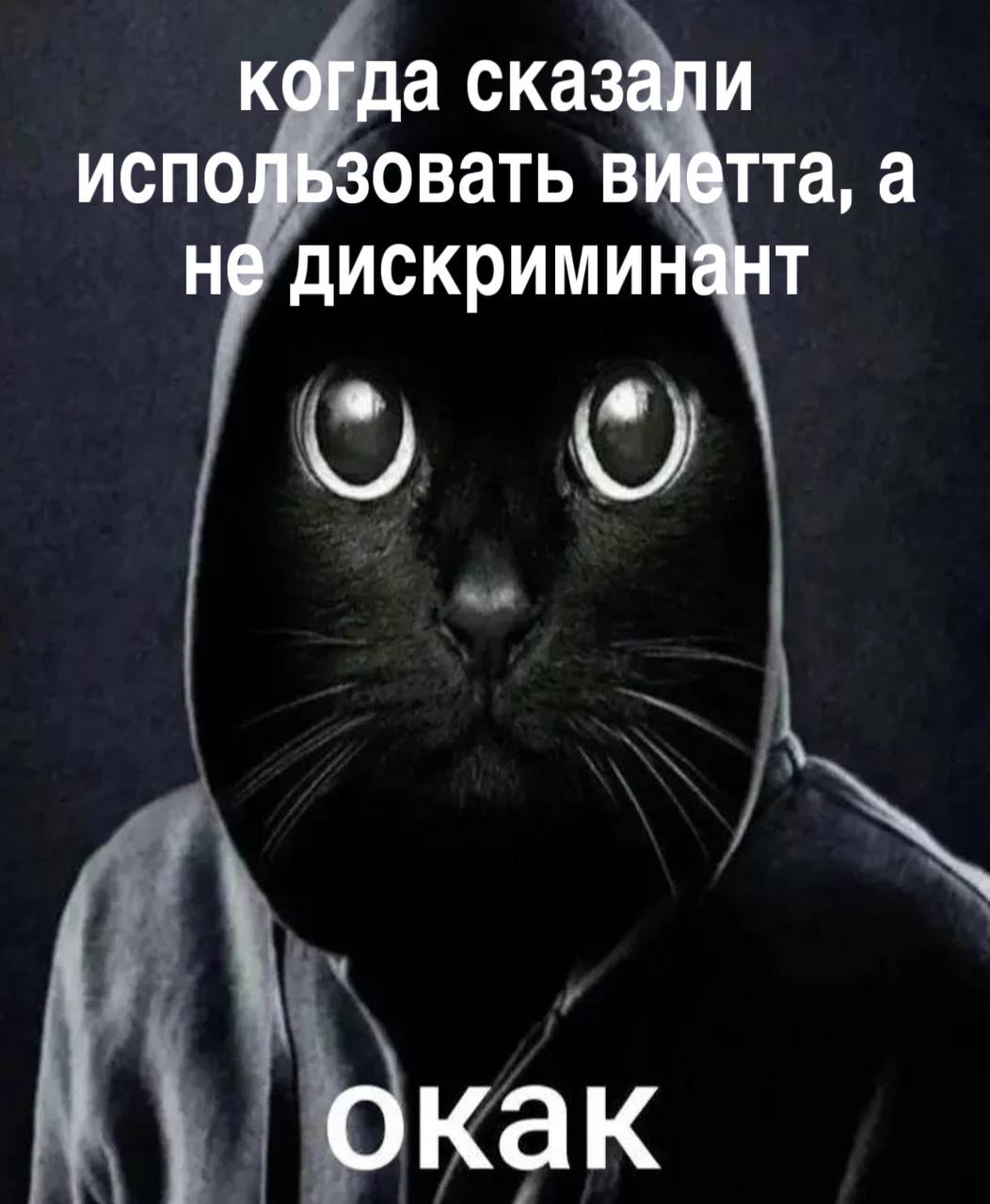 Когда сказали использовать Виетта, а не дискриминант Мем про черного кота в худи, который удивляется, что нужно использовать Виетта, а не дискриминант