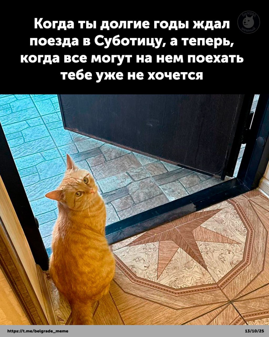 Мем с котом, который ждал поезд в Суботицу, но передумал, когда он стал доступен для всех