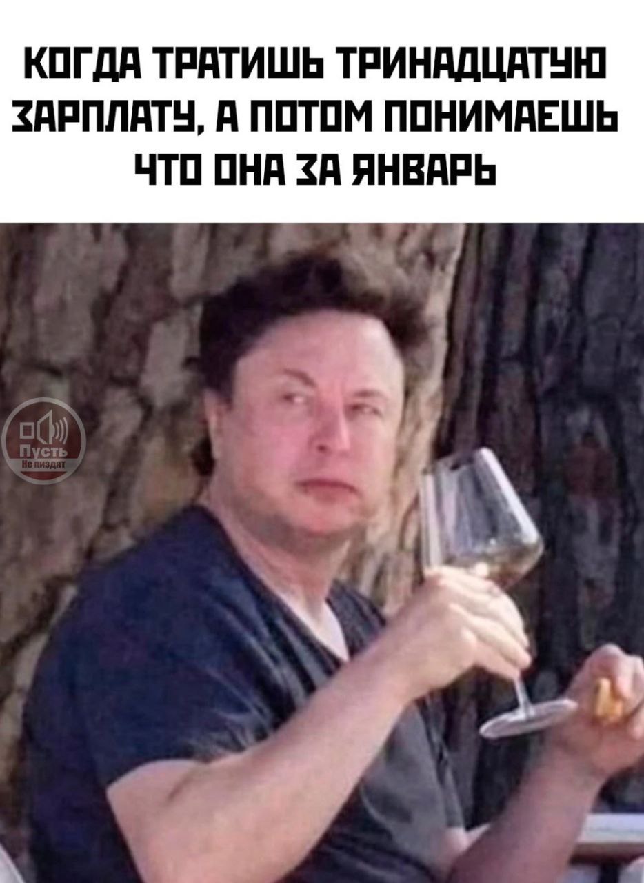Когда тратишь тринадцатую зарплату, а потом понимаешь что она за январь Илон Маск с бокалом вина, когда тратишь тринадцатую зарплату, а потом понимаешь, что она за январь