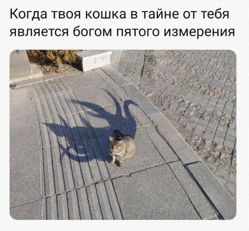 Маленькая кошка на тротуаре, чья тень выглядит как огромное мистическое существо, словно бог пятого измерения