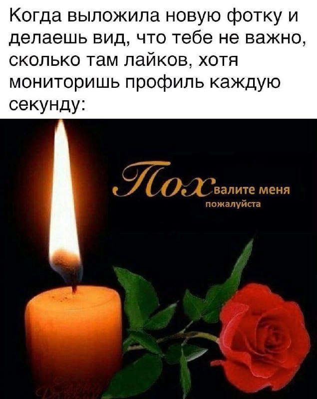 Похвалите меня пожалуйста Мем про желание похвалы и мониторинг лайков, где "Пох" превращается в "Похвалите меня пожалуйста" рядом со свечой и розой