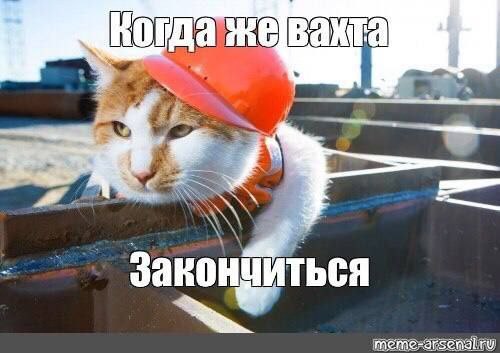 Когда же вахта закончиться Мем с котом в каске и надписью «Когда же вахта закончиться»