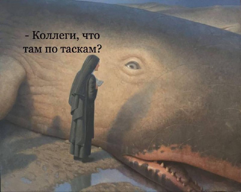 Коллеги, что там по таскам Мем с монахиней и огромным китом, лежащим на суше, с текстом "Коллеги, что там по таскам?".