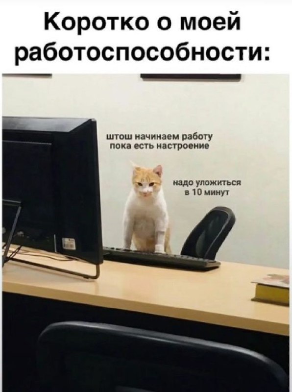 Коротко о моей работоспособности Мем с котом за рабочим столом, сидящим на стуле и смотрящим на монитор компьютера, с подписями, описывающими его короткую работоспособность.