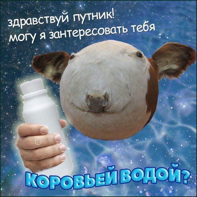 Коровья голова на космическом фоне предлагает бутылку с надписью «Коровьей водой?»
