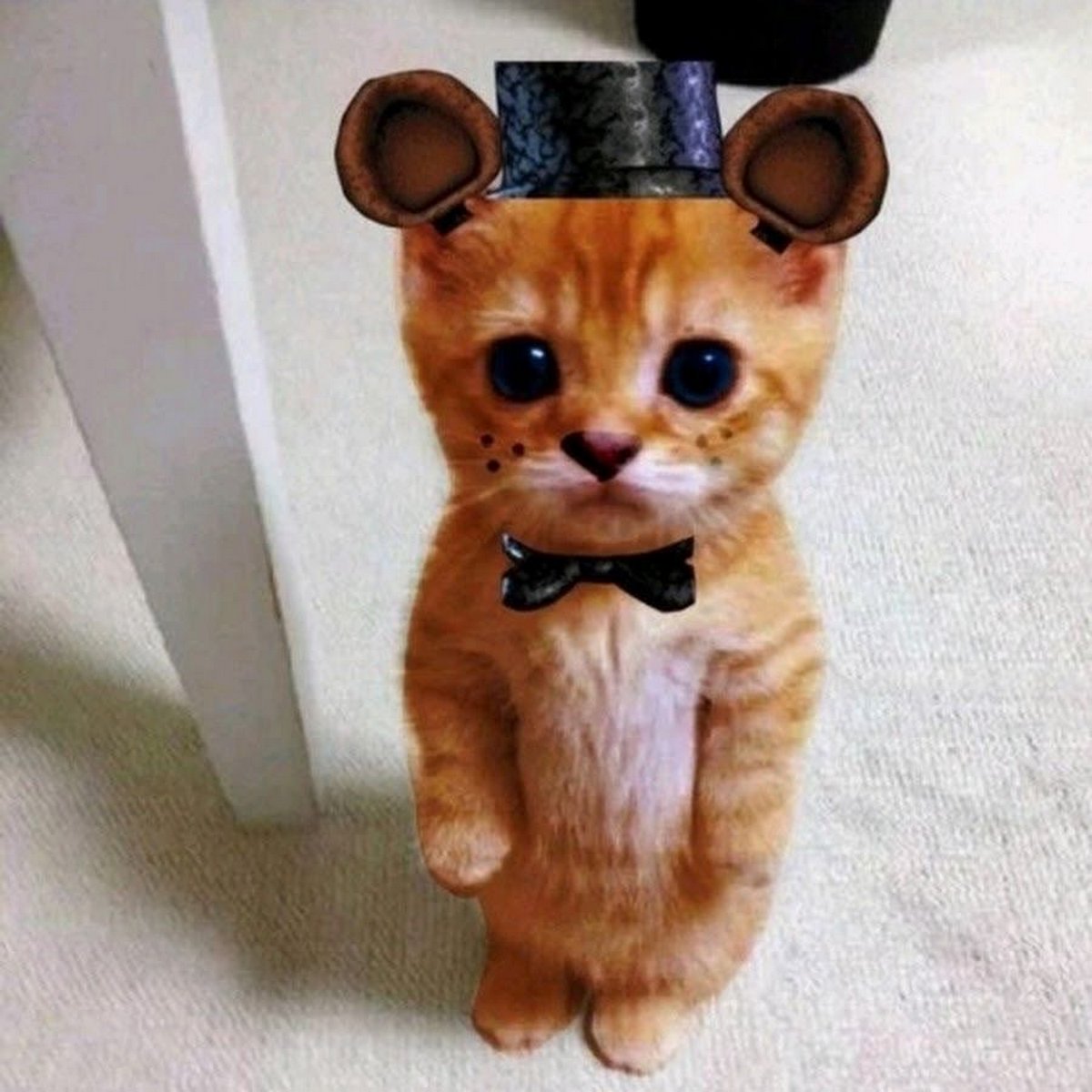 Котёнок Фредди Фазбер Рыжий котёнок Фредди Фазбер из Пять ночей с Фредди, стоящий на задних лапах и смотрящий прямо в камеру.