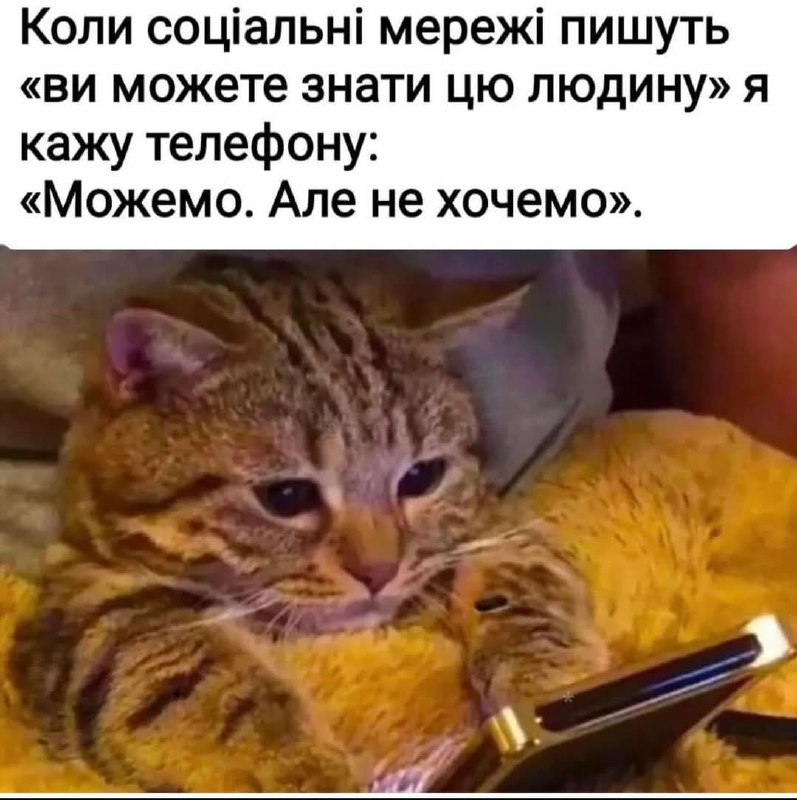Кот с телефоном Милый полосатый кот лежит на пледе и смотрит в телефон.