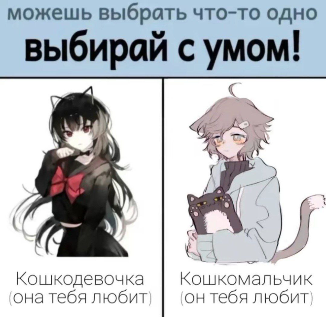 Кошкодевочка или кошкомальчик Мем с двумя персонажами в стиле аниме: слева кошкодевочка, справа — кошкомальчик, и подписи, что они тебя любят
