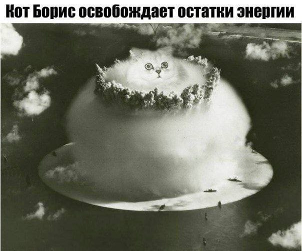 Кот Борис освобождает остатки энергии Кот Борис в виде ядерного гриба освобождает остатки энергии
