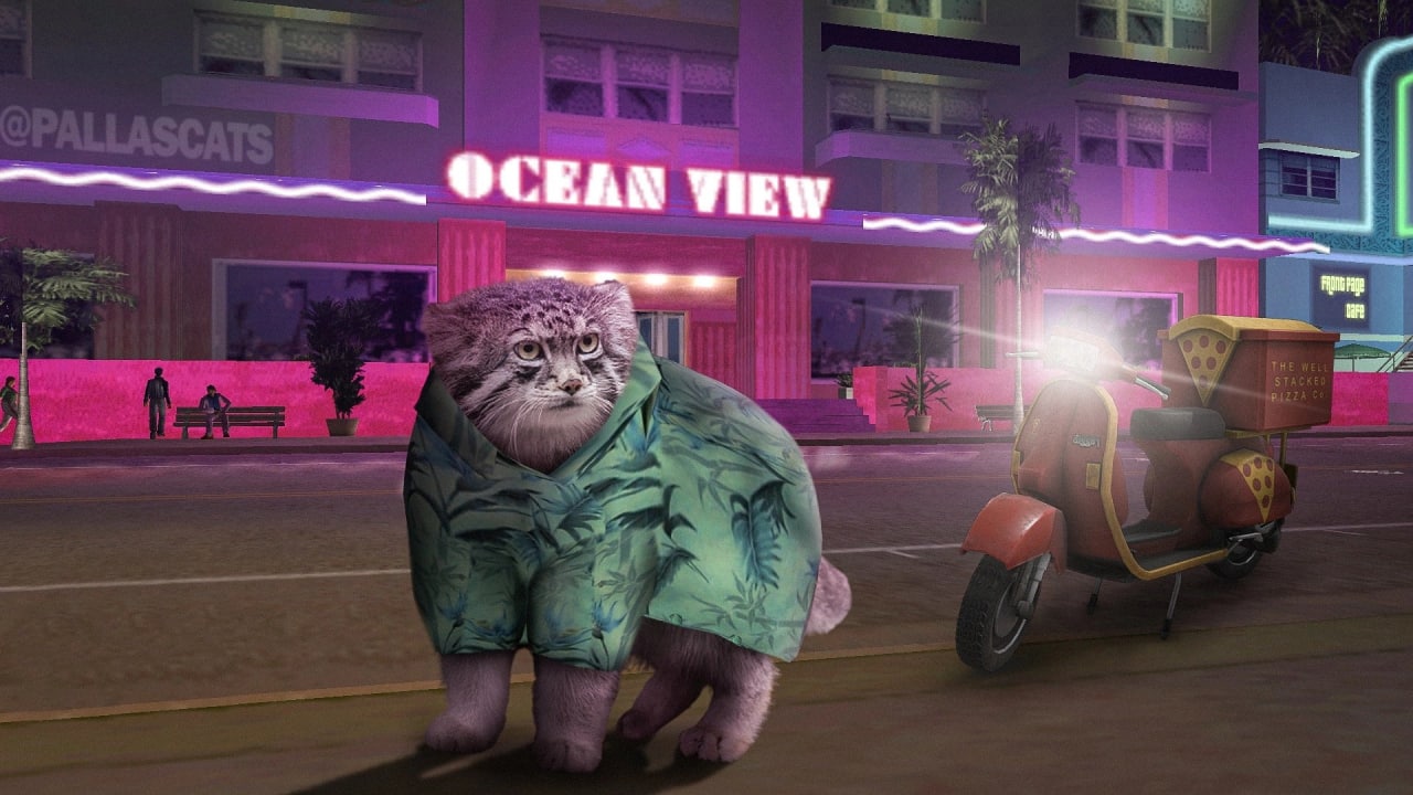 Кот манул в рубашке у отеля Ocean View Кот манул в гавайской рубашке на улице неонового города рядом с мотороллером для доставки пиццы.