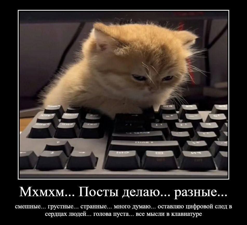 Задумчивый рыжий кот печатает посты на клавиатуре и оставляет цифровой след в сердцах людей.
