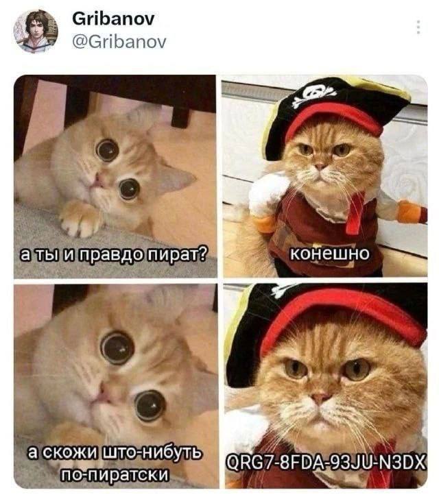 Кот пират и код Мем с котом-пиратом, который говорит QRG7-8FDA-93JU-N3DX