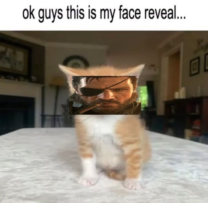 Кот показывает лицо Снейка Котёнок делает «face reveal» и показывает лицо персонажа Снейка из Metal Gear Solid.