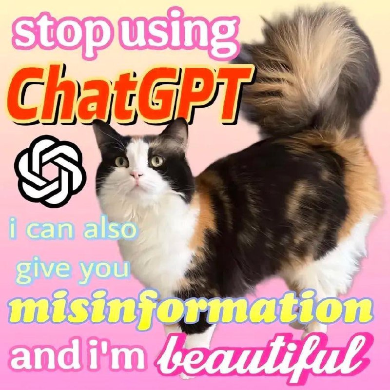 Кот предлагает давать дезинформацию вместо ChatGPT Мем с котом, который предлагает давать дезинформацию вместо ChatGPT, потому что он красивый