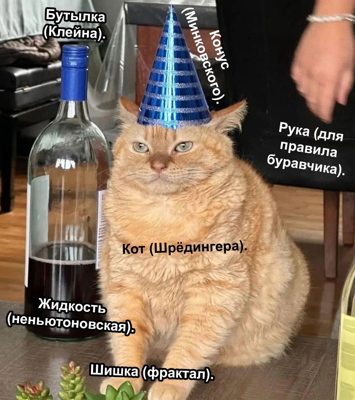 Рыжий кот в праздничном колпачке, бутылка и окружающие предметы с абсурдными научными подписями