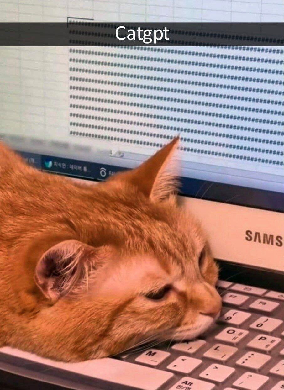 Кот спит на клавиатуре ноутбука Catgpt Рыжий кот засыпает на клавиатуре ноутбука, а на экране видна надпись Catgpt.