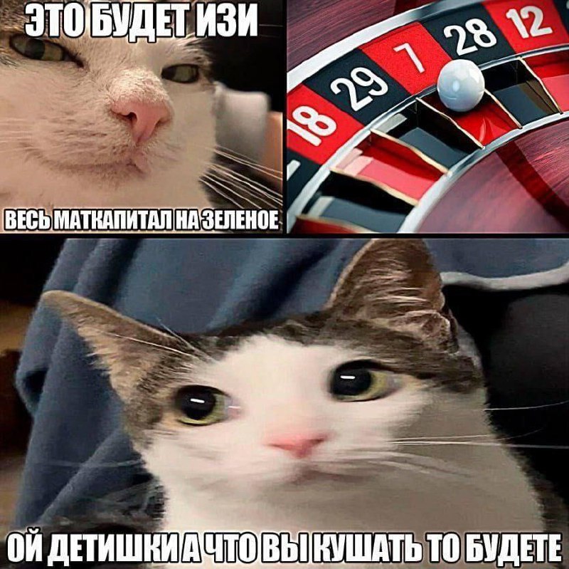 Кот ставит весь маткапитал на зеро Мем с котом, который уверенно ставит весь материнский капитал на зеро в рулетке, а затем осознаёт последствия своего решения, выражая шок и раскаяние