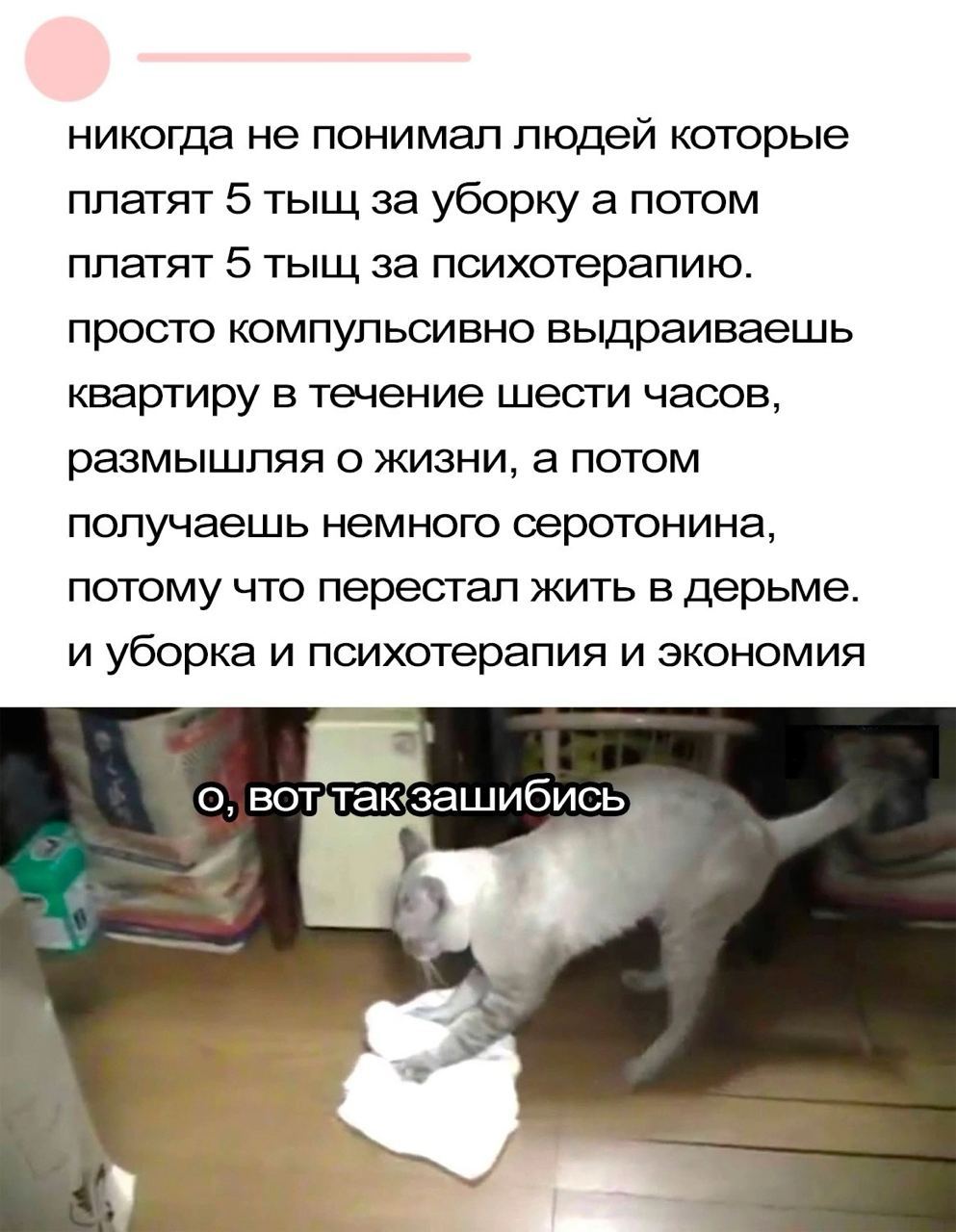 Кот убирается, вот так зашибись Мем про кота, который убирается и текст о том, что уборка может заменить психотерапию