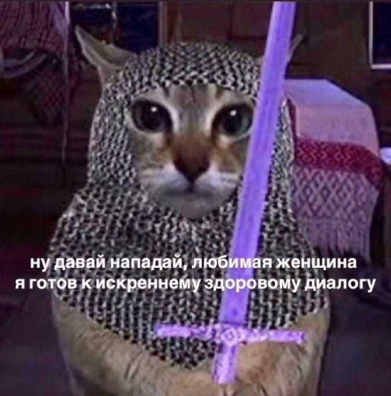 Кот в кольчуге с фиолетовым мечом и подписью: «Ну давай нападай, любимая женщина, я готов к искреннему здоровому диалогу»