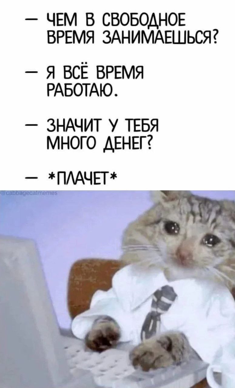 Кот в рубашке плачет за компьютером Мем с котом в рубашке и галстуке, который плачет за компьютером, потому что у него нет денег, хотя он всё время работает.