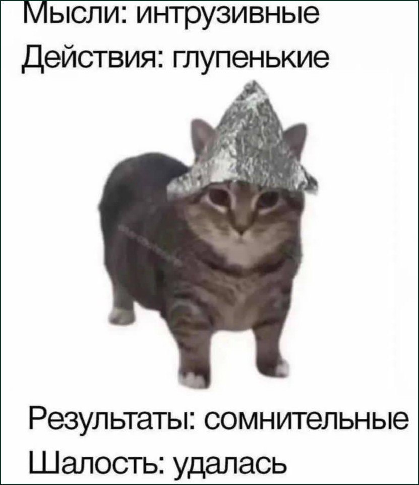 Кот в шапочке из фольги Мем с котом в шапочке из фольги и надписями: "Мысли: интрузивные. Действия: глупенькие. Результаты: сомнительные. Шалость: удалась".