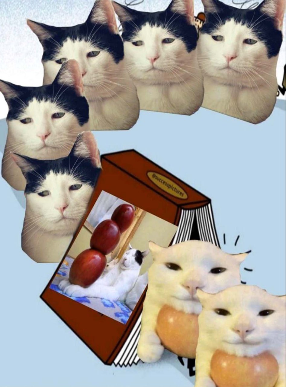 Мем с котом в шляпе и яблоками Коллаж с черно-белыми котами, яблоками и странными выражениями морды
